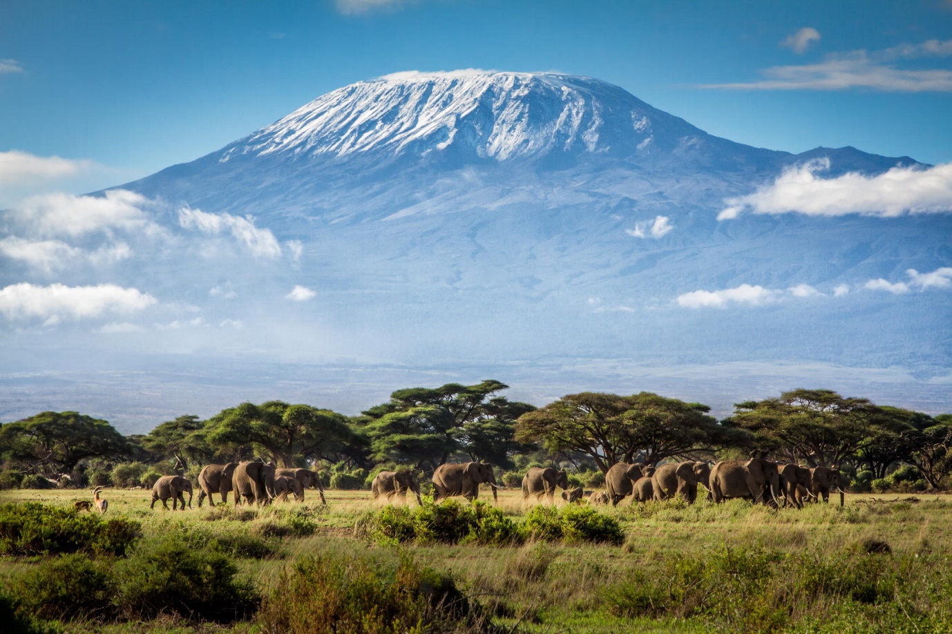 Mount Kilimanjaro Facts