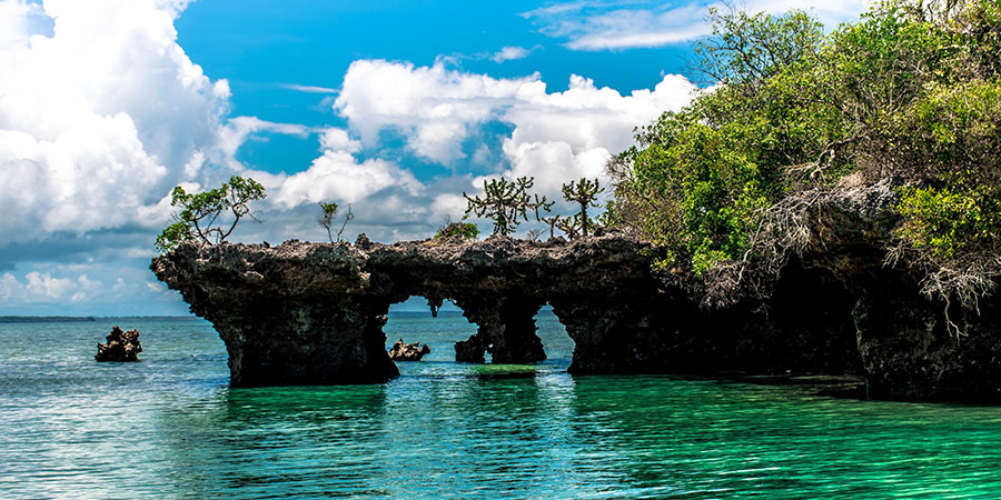 Travel Tips for First-Time Safari In East Africa