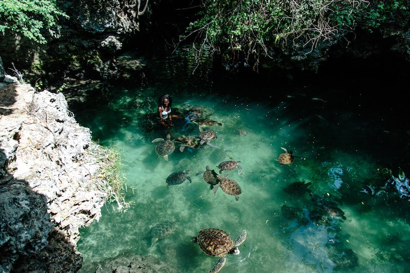 a lady with tortoise