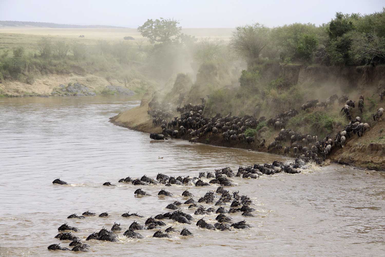 Maasai Mara National Reserve.