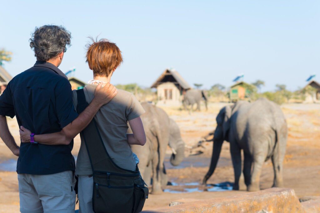 Perfect Tanzania Safari