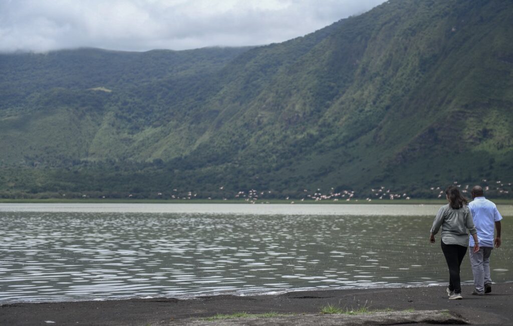 Tanzania Safaris