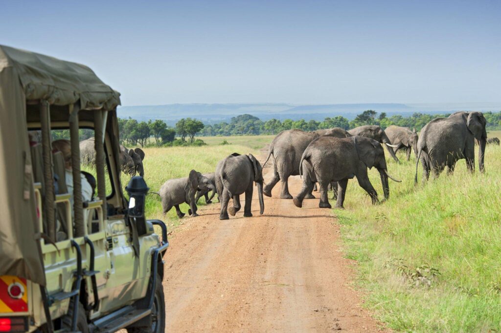 Tanzania-Safari-Experience