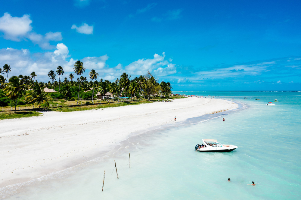 Is Zanzibar the Perfect Island Escape for You? Here’s What to Know Before You Go!