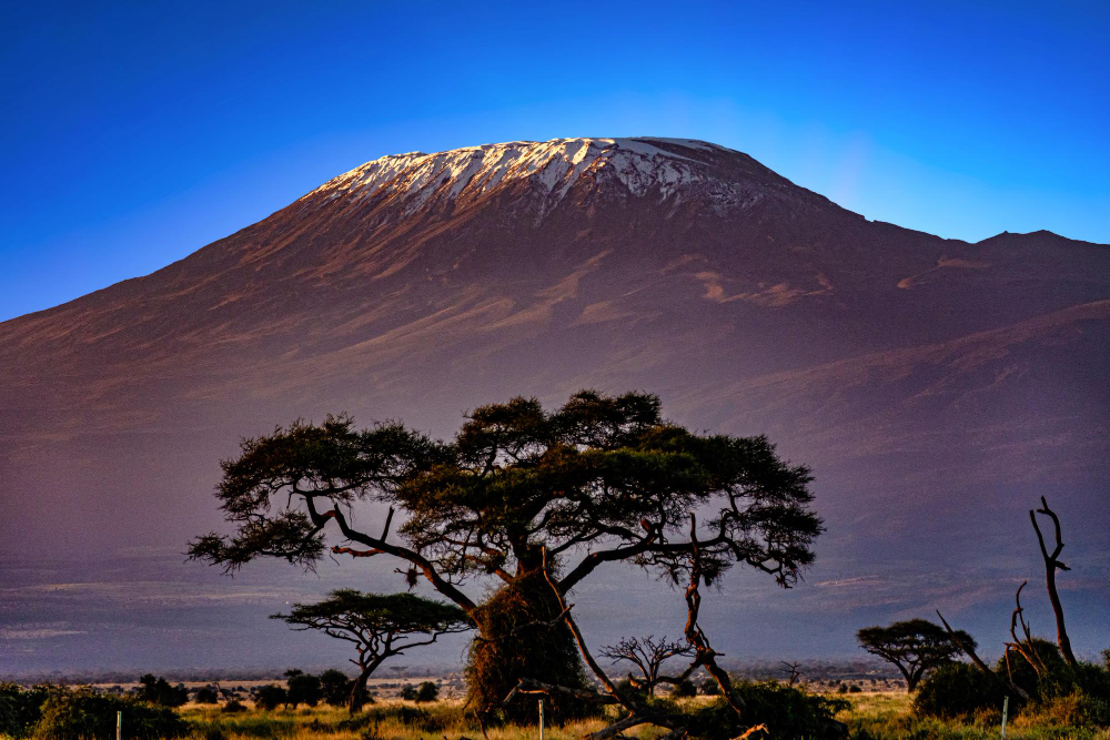 Ecological Wonders of Mount Kilimanjaro