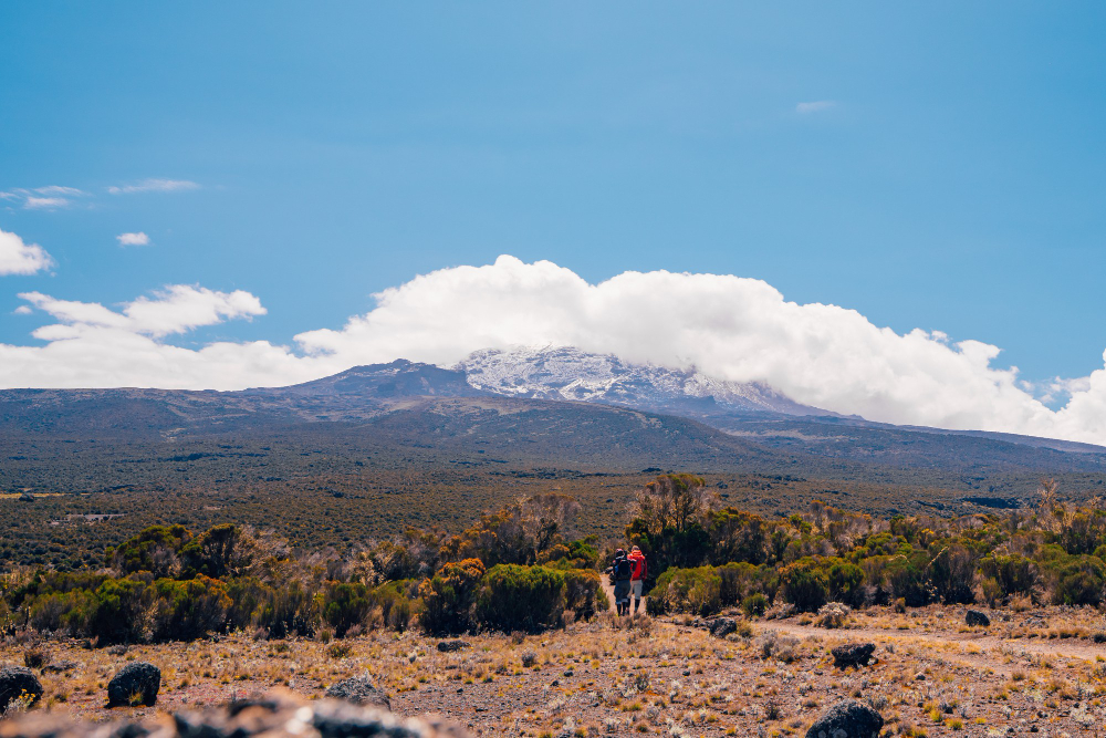 5 of the Best Routes for Trekking Kilimanjaro