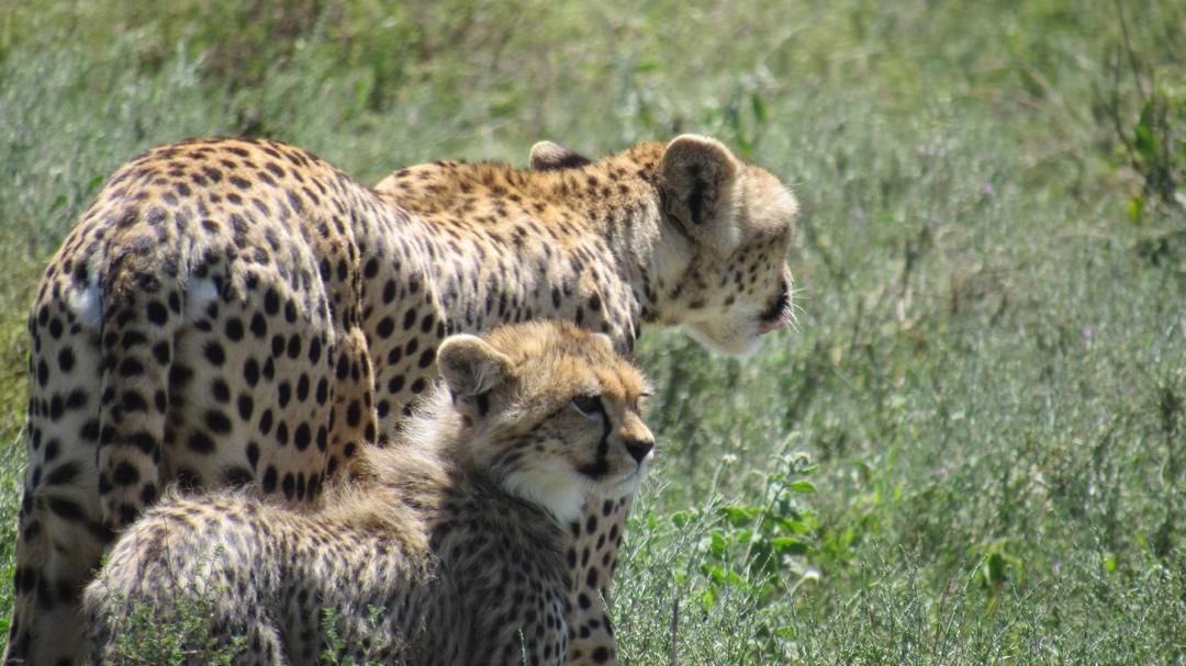 photo_2025-01-11_18-49-01