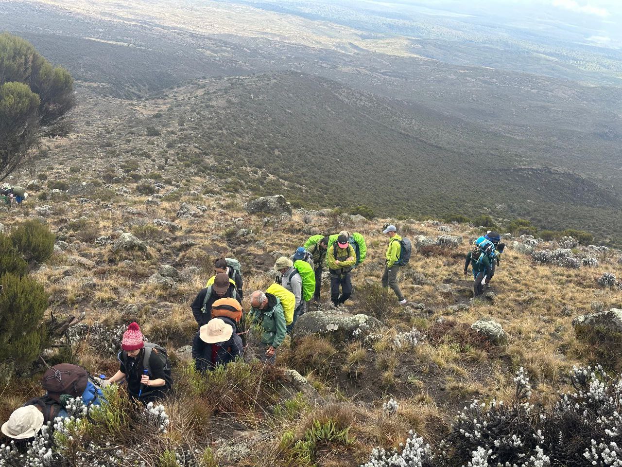 Mount Kilimanjaro