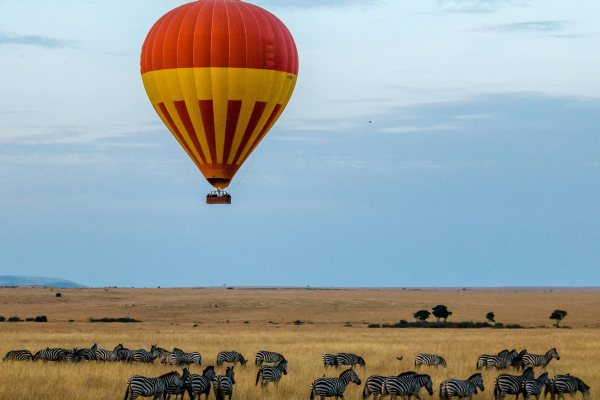 Serengeti Safari 2026