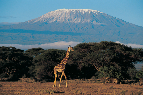 kilimanjaro (2)