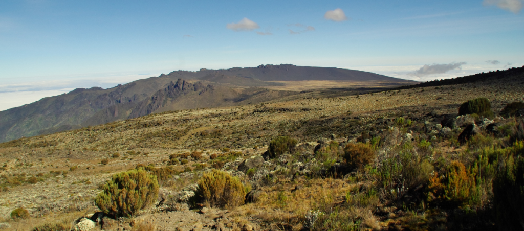 Trekkers on the Machame Route, passing through cloud forests with Mount Kilimanjaro looming in the distance