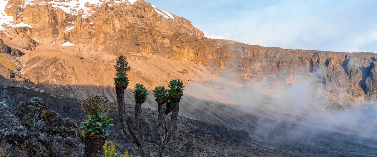 Lemosho Route Shira Plateau