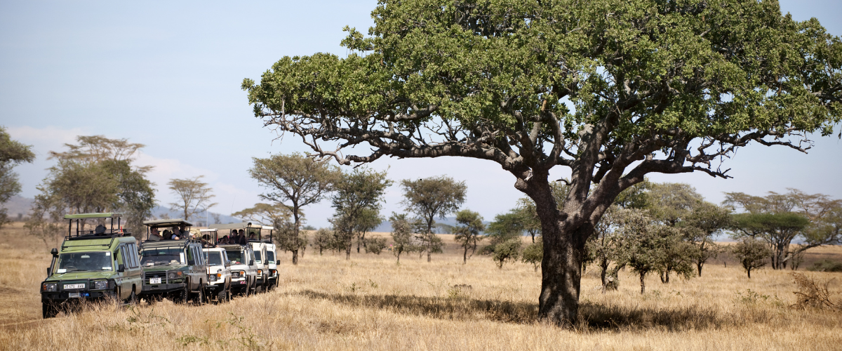 Safari vehicle in Serengeti National Park with Kilimanjaro in the distance
