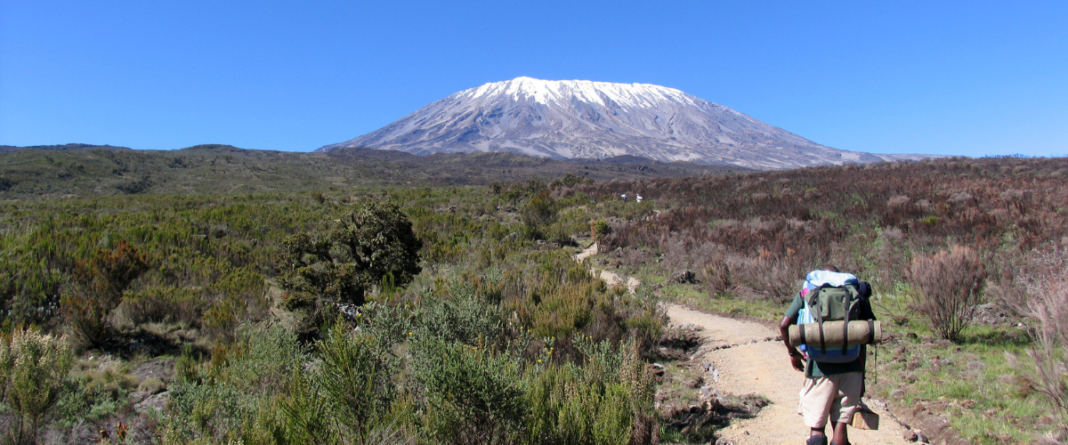 Travelers combining a Mount Kilimanjaro trek with a Tanzania safari adventure