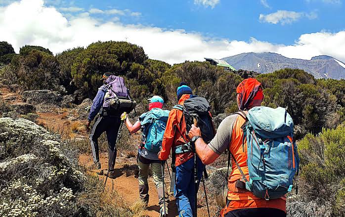 lemosho route 8 days
